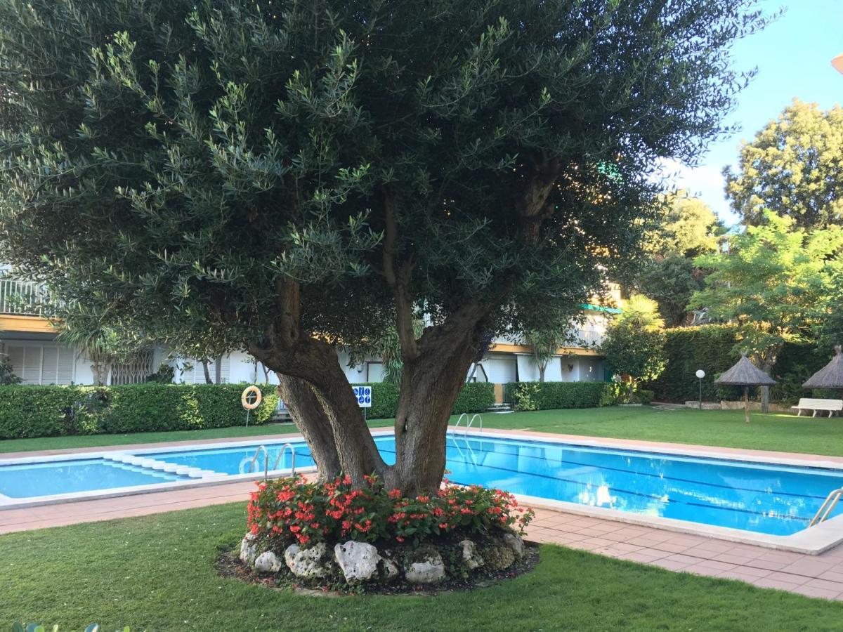 Traumhafte Mit Meerblick In Schoener Umgebung Appartement Lloret de Mar